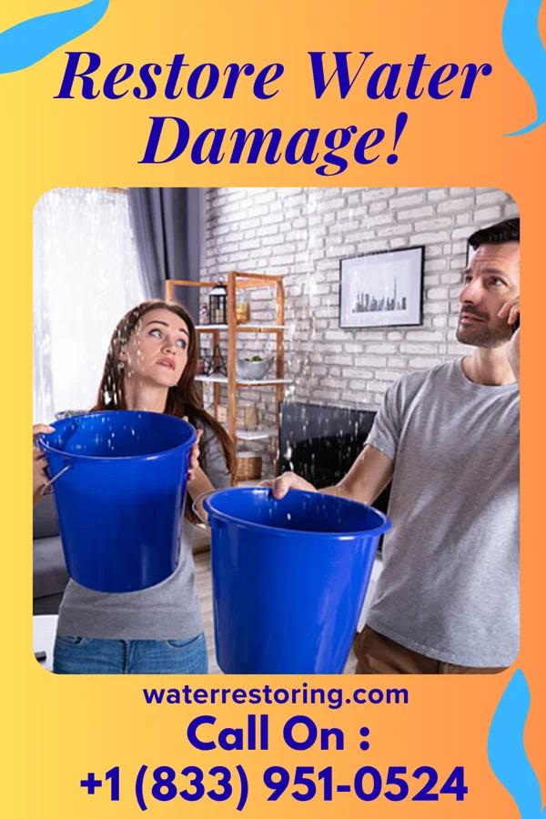 water restoration Zenith Water Removal Masters Wurtland