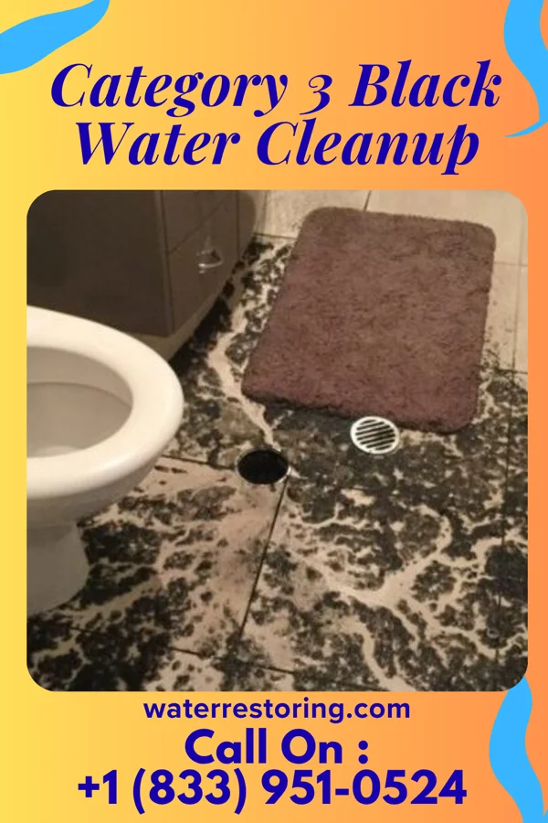Category 3 Black Water Cleanup in Wurtland, KY