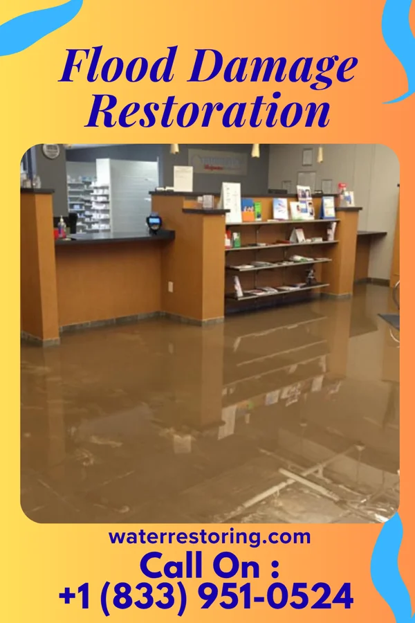 Flood Damage Restoration in Wurtland, KY