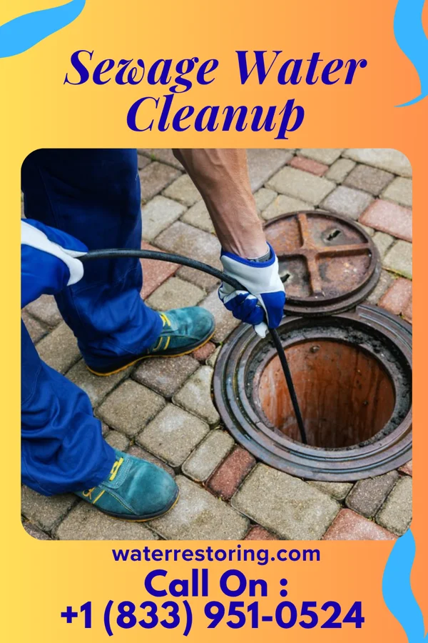 Sewage Water Cleanup in Wurtland, KY